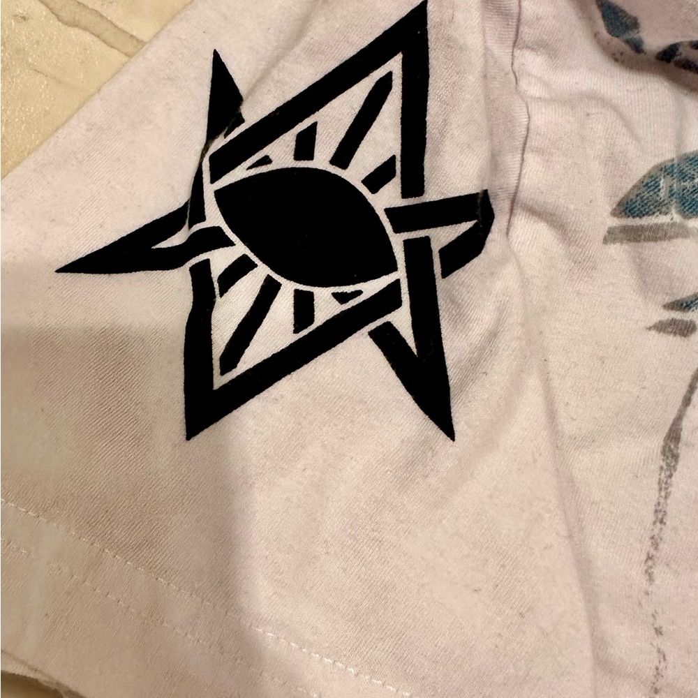 VINTAGE SOUTH POLE TEE - Picture 3 of 5